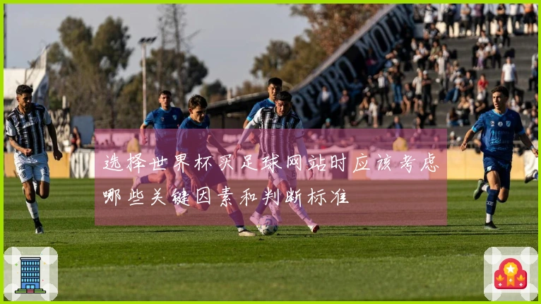选择世界杯买足球网站时应该考虑哪些关键因素和判断标准